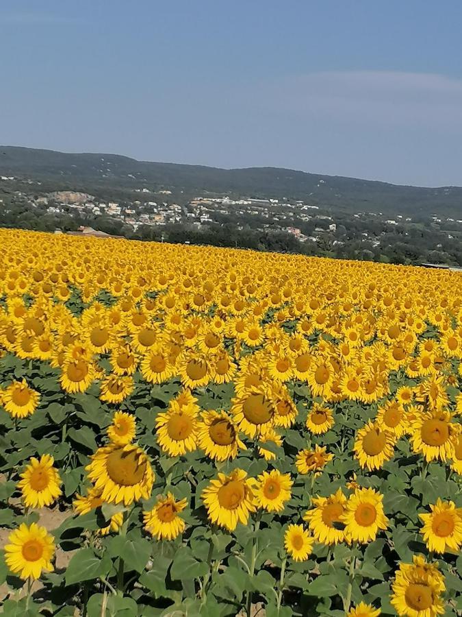 Charmante Maison Avec Terrasse Aux Portes De L'ardeche Villa